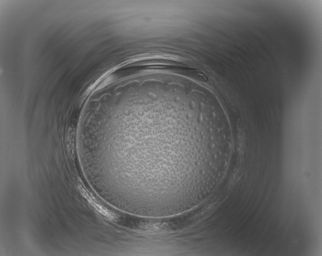X0000086111369200703231450