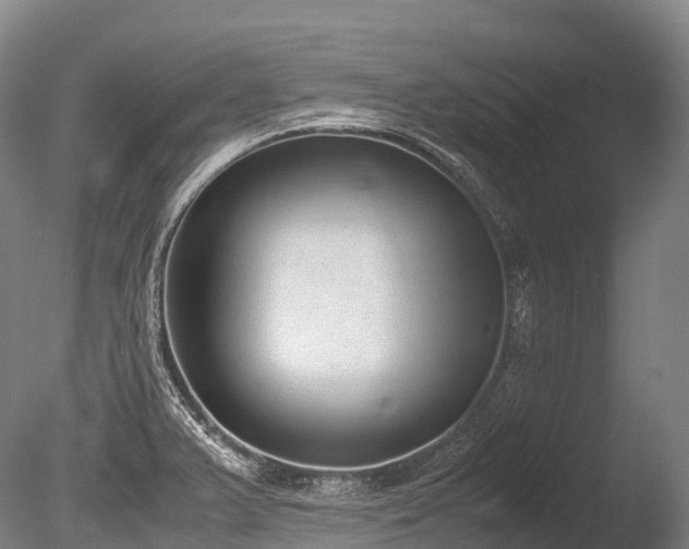 X0000086111375200703231450
