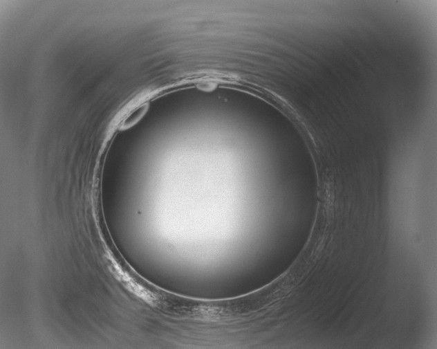 X0000086111379200703231450