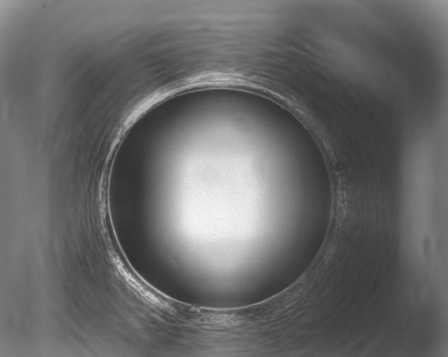 X0000086111382200703231450