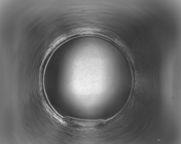 X0000086111384200703231450