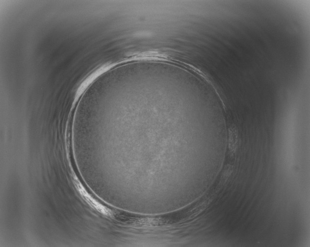 X0000086111387200703231450