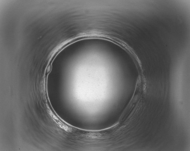 X0000086111388200703231450