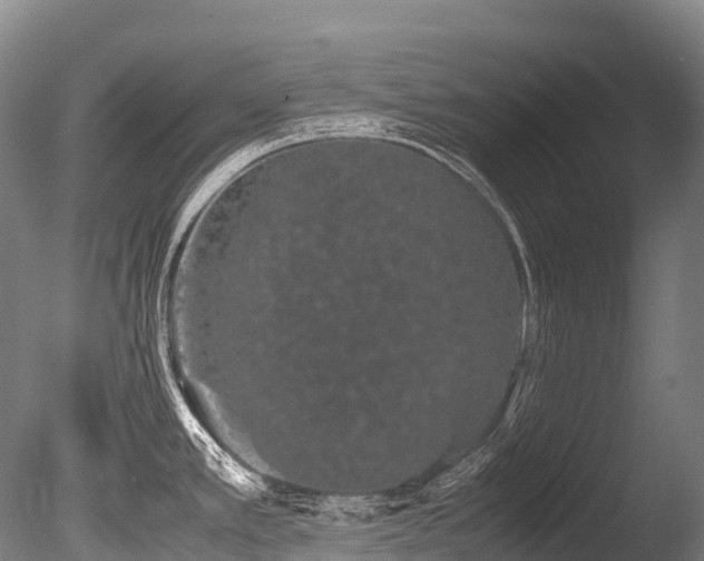 X0000086111389200703231450