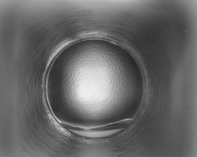 X0000086111392200703231449