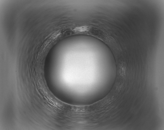 X0000086111393200703231449