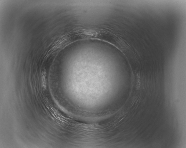 X0000086111394200703231449