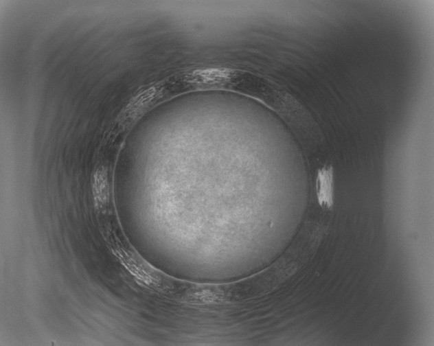 X0000086111395200703231449