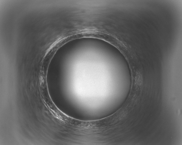 X0000086111400200703231449