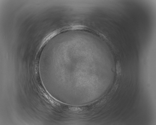 X0000086111405200703231449