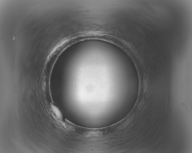 X0000086111406200703231449