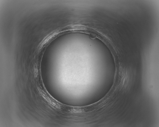 X0000086111407200703231449