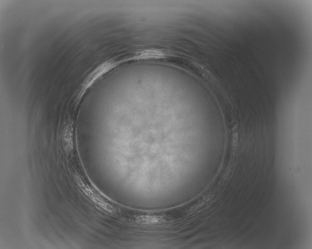 X0000086111409200703231449