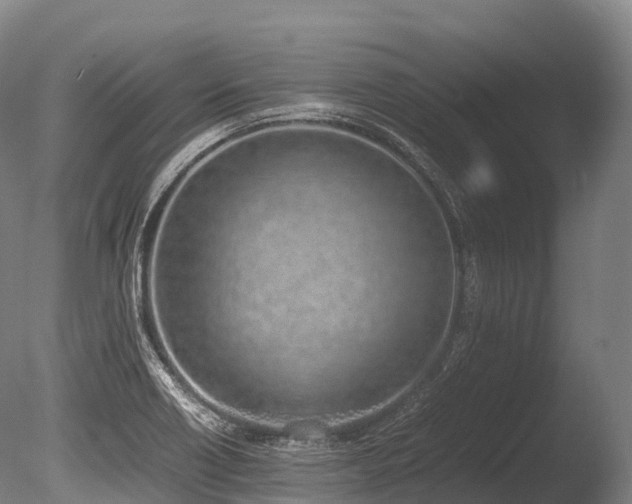 X0000086111418200703231449