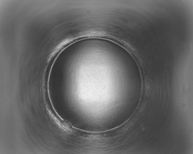 X0000086111422200703231449