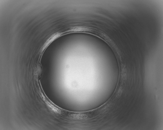 X0000086111425200703231449