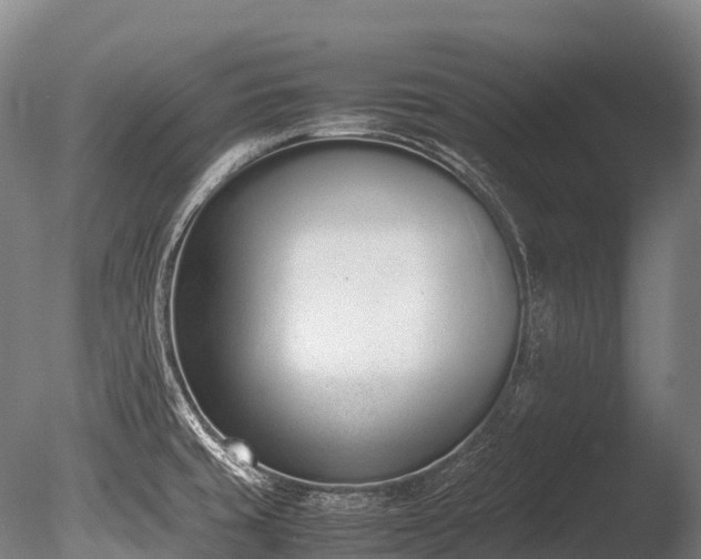 X0000086111429200703231449