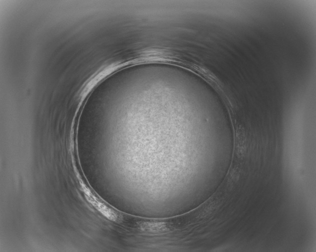 X0000086111431200703231449
