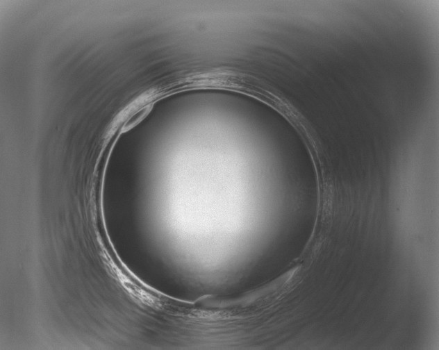 X0000086111434200703231449
