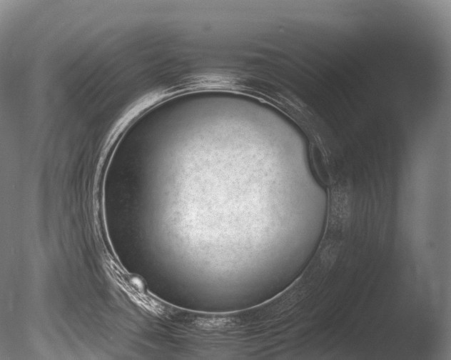 X0000086111435200703231449