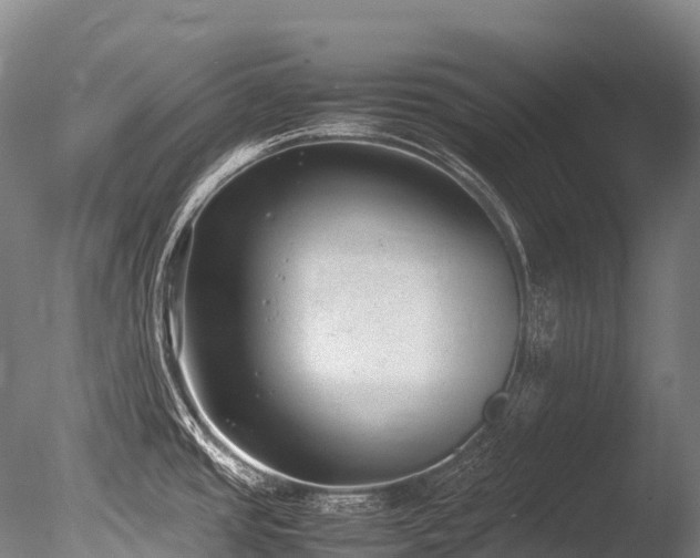 X0000086111437200703231449