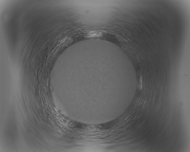 X0000086111441200703231449