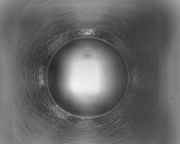 X0000086111442200703231449