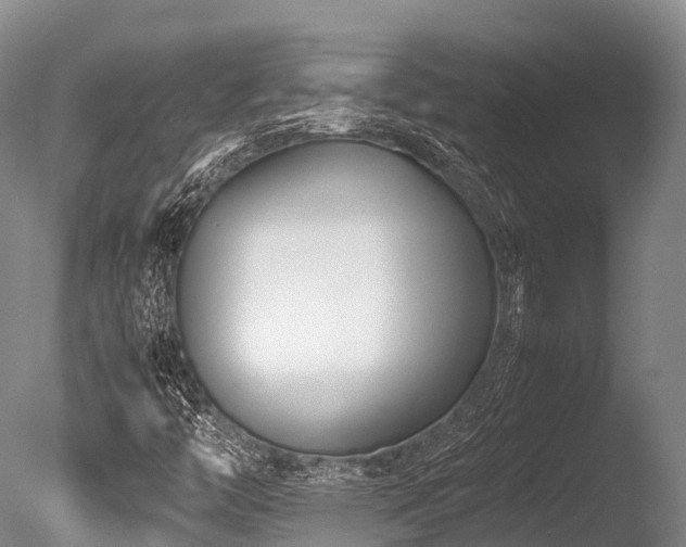 X0000086111446200703231449