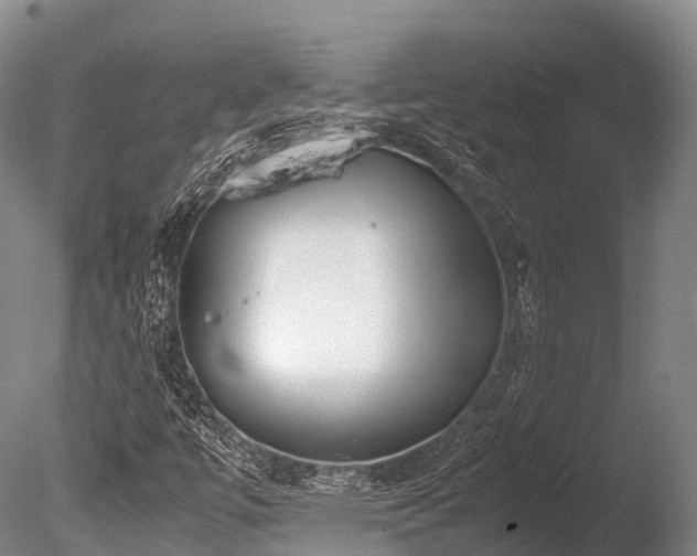 X0000086111447200703231449