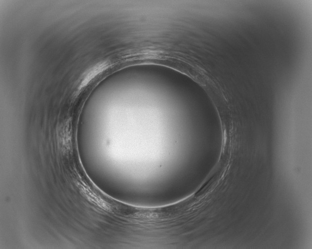 X0000086111450200703231448