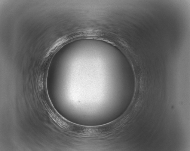 X0000086111451200703231448