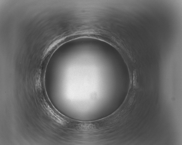 X0000086111452200703231448