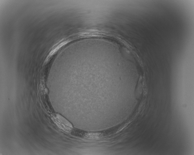 X0000086111453200703231448
