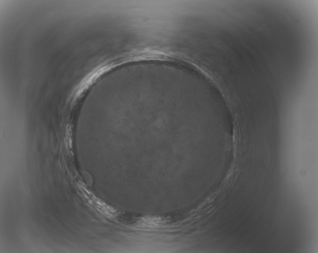 X0000086111455200703231448
