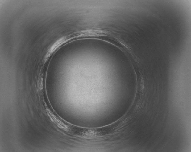 X0000086111459200703231448