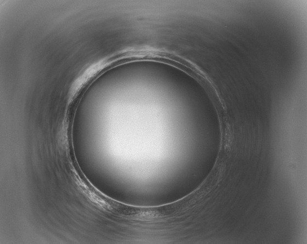 X0000086111464200703231448