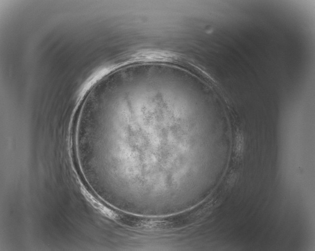 X0000086111471200703231448