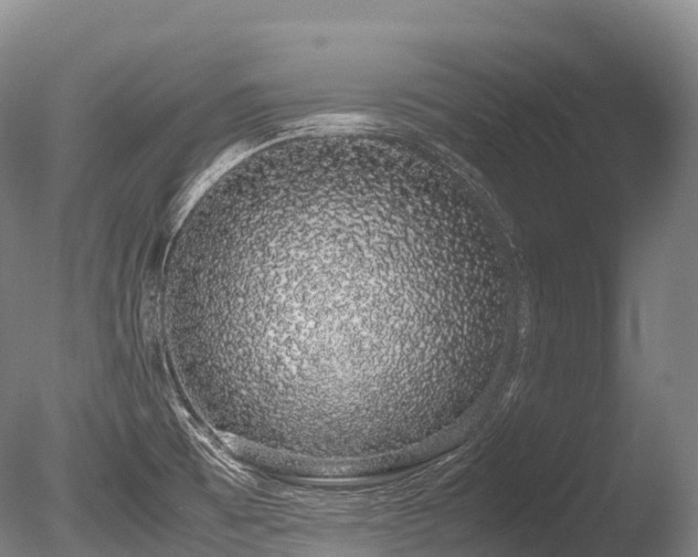 X0000086111473200703231448