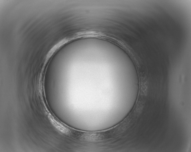 X0000086111474200703231448