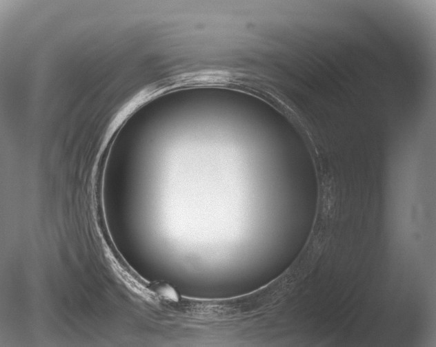 X0000086111475200703231448