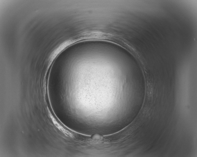 X0000086111479200703231448