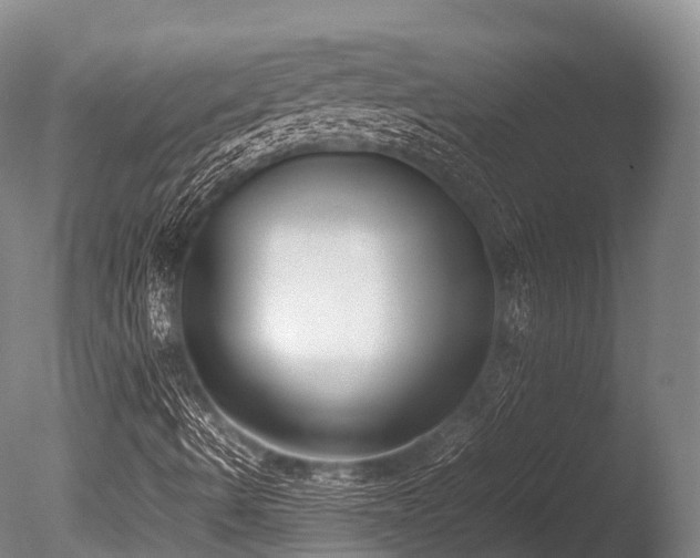 X0000086111490200703231447