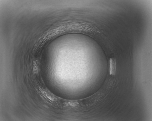X0000086111491200703231447