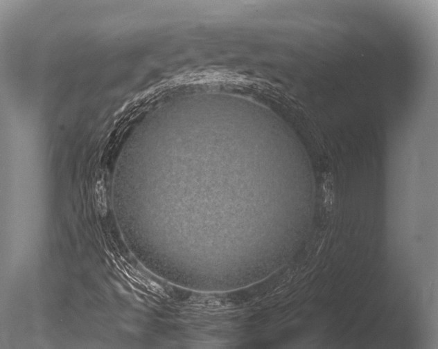 X0000086111493200703231447
