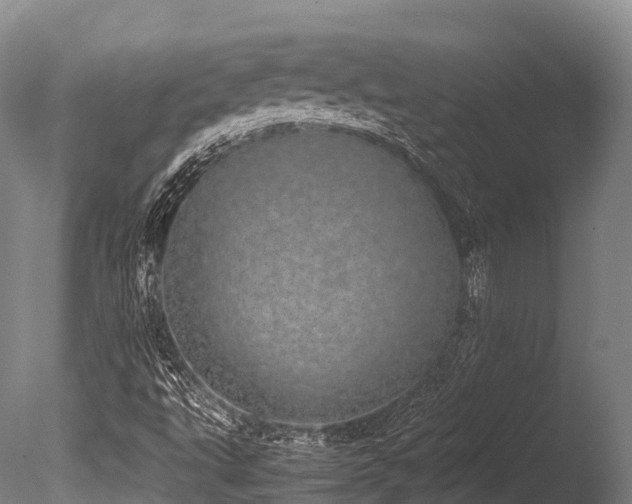 X0000086111495200703231447