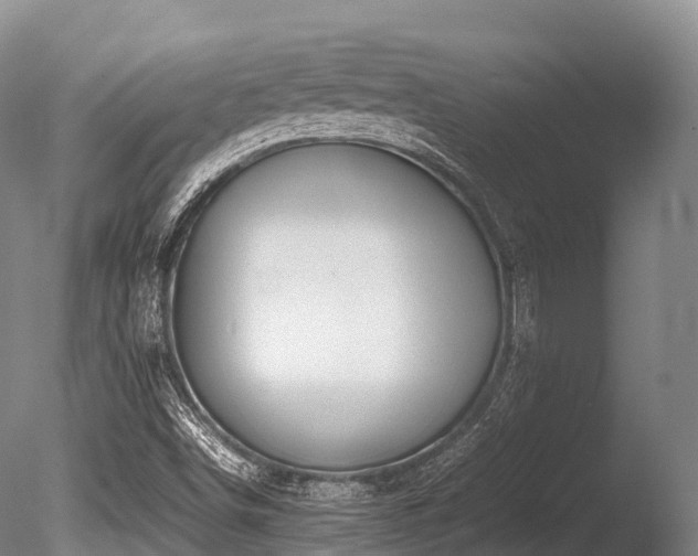 X0000086111498200703231447