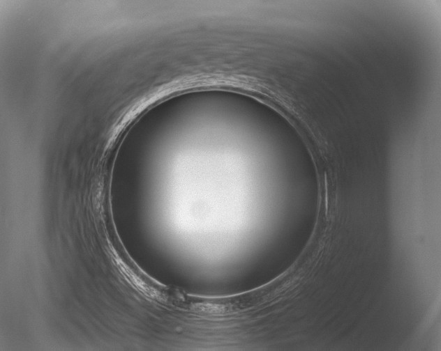 X0000086111500200703231447