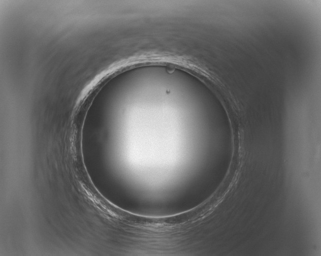 X0000086111502200703231447