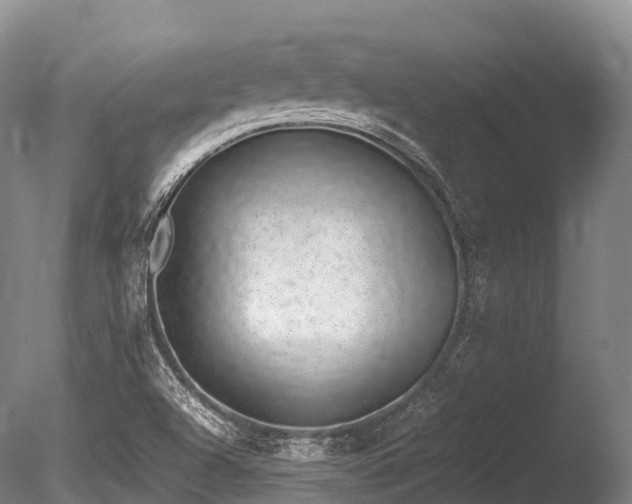 X0000086111504200703231447