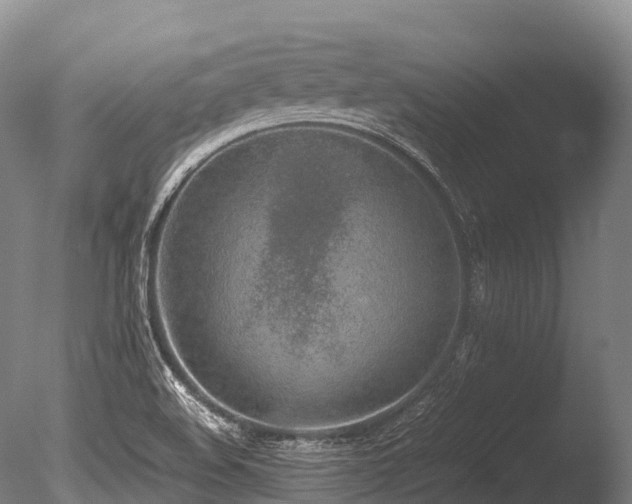 X0000086111508200703231447